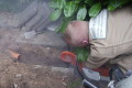 BOHNEBERG Gartenbau Team